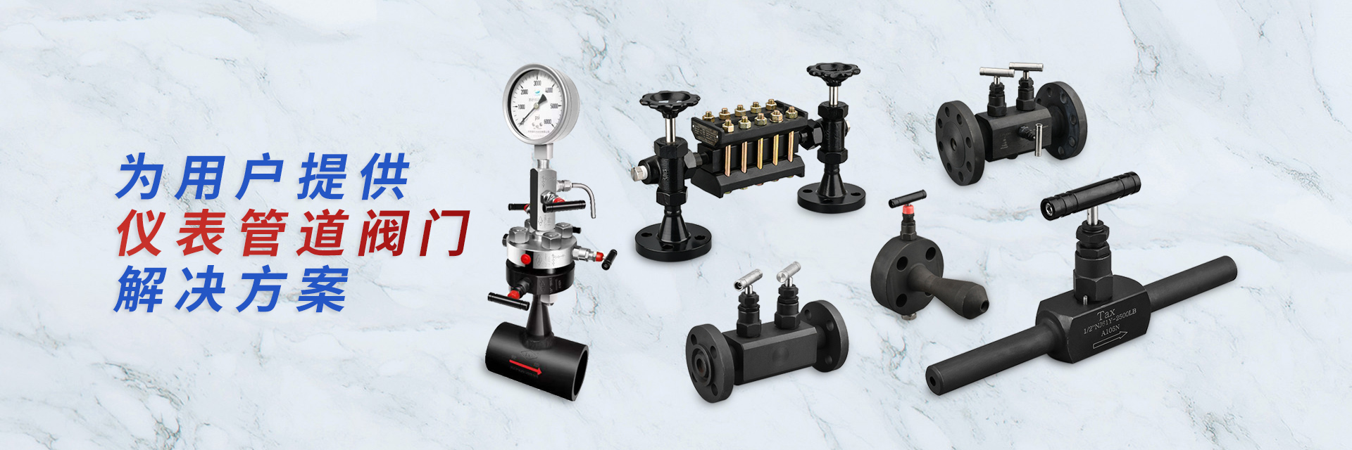 浙江泰新閥門有限公司